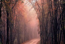 威客电竞:怀森:我渴望入选西班牙队,去年夏天尤文曾强迫我转会.