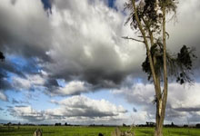 威客电竞：法甲-登贝莱补时双响巴尔科拉传射 巴黎4-1也领先16分.