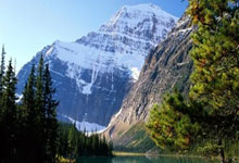 威客电竞：[棋牌]世界女流最强战上野梨纱半目逆转崔精 刷新夺冠记录.