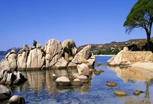 同曦欲送北京两连败，看我爆炒式，麻烦了.